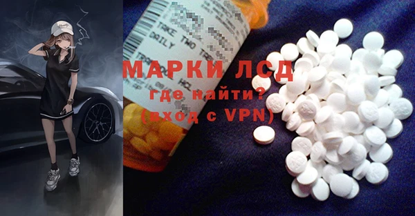 прущие грибы Надым