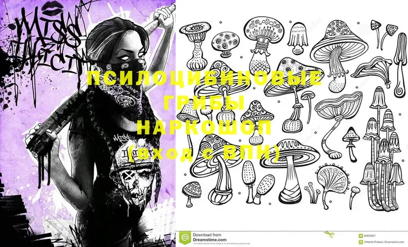 hydra ONION  где купить   Чкаловск  Галлюциногенные грибы Psilocybine cubensis 